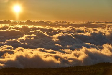 Altın gün batımı güneşi Teide Platosu 'ndan görünen bir çam ormanı siluetiyle gökyüzünden dalgalanan bulutları aydınlatıyor.