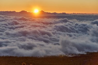 Altın gün batımı güneşi Teide Platosu 'ndan görünen bir çam ormanı siluetiyle gökyüzünden dalgalanan bulutları aydınlatıyor.