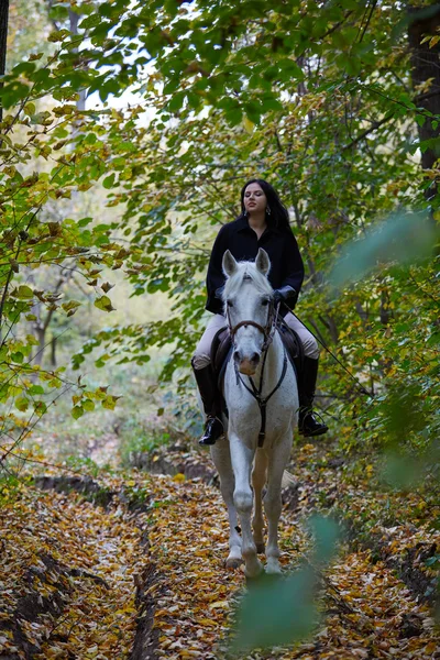 Женщина верхом на лошади — стоковое фото