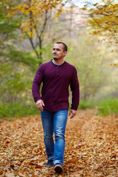 Caucasian man walking in the forest — Stock Photo, Image