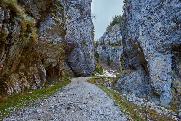 Краєвид з красивим каньйоном — стокове фото