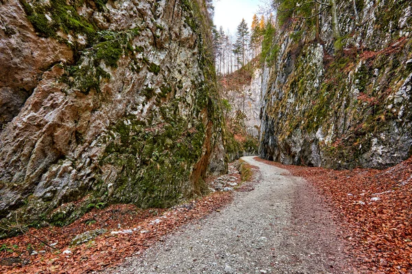 Пейзаж с красивым каньоном — стоковое фото