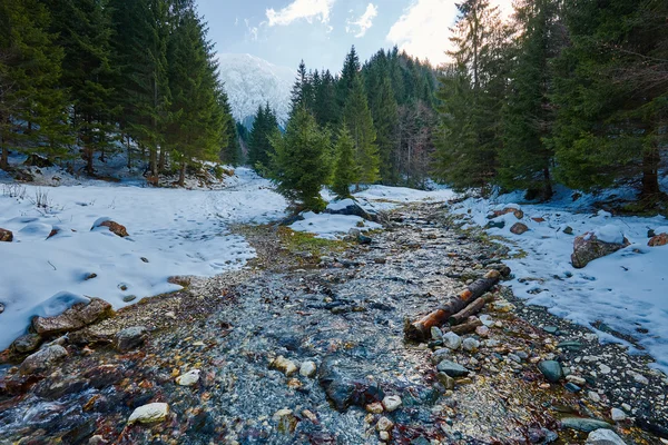 Alpská krajina s řekou a Les — Stock fotografie