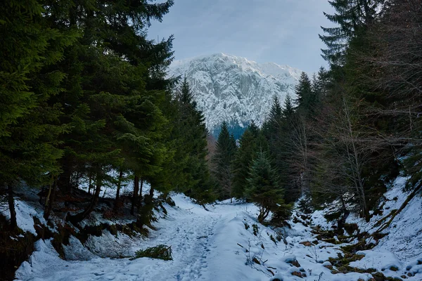 Paysage hivernal avec montagnes rocheuses — Photo