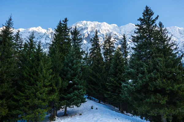 Winterlandschaft mit felsigen Bergen — Stockfoto