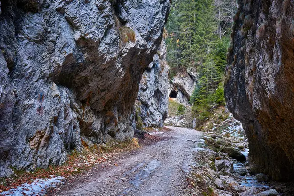 Landschap met een mooie canyon — Stockfoto