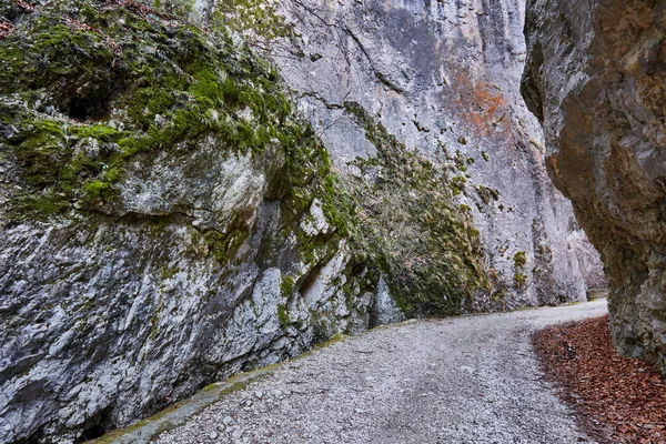 Landschap met een mooie canyon — Stockfoto