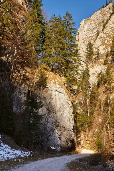 Landschap met een mooie canyon — Stockfoto