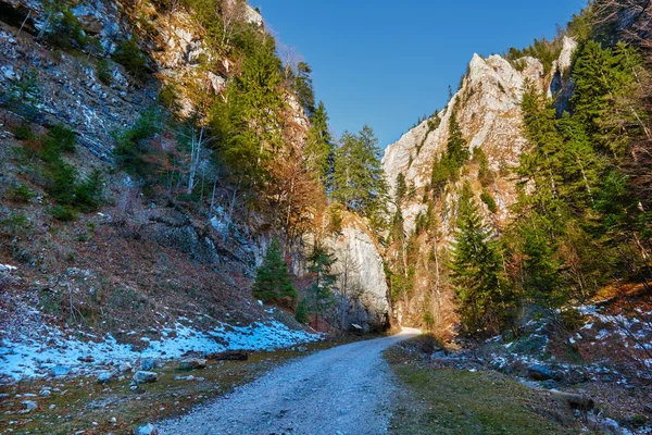 Landschap met een mooie canyon — Stockfoto