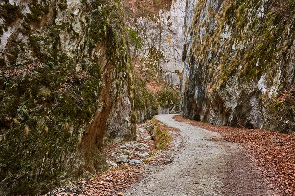 Пейзаж с красивым каньоном — стоковое фото