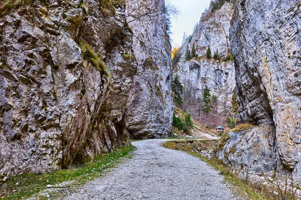 Landschap met een mooie canyon — Stockfoto