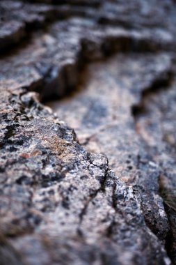 Tortul kayaçlar arka plan