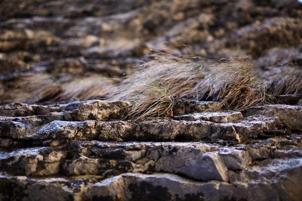 Fond de roches sédimentaires — Photo