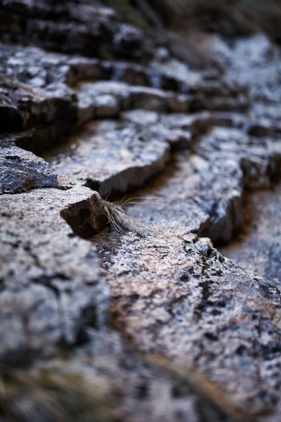 Sedimentära bergarter bakgrund — Stockfoto