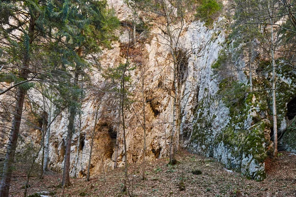 Muro de montaña de piedra caliza — Foto de Stock