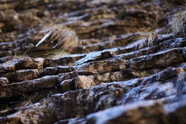 Sedimentära bergarter bakgrund — Stockfoto