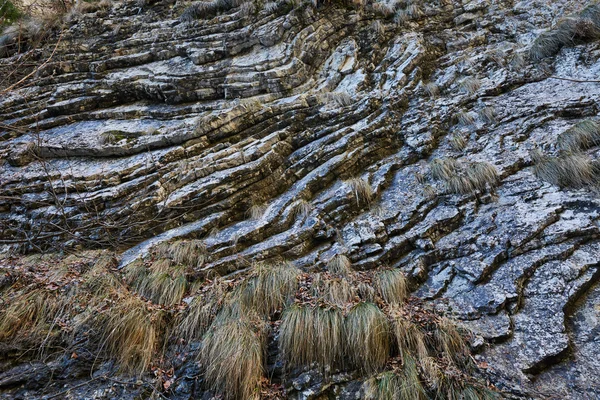 Sedimentära bergarter bakgrund — Stockfoto