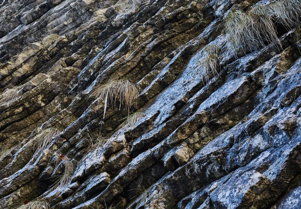 Sedimentární horniny pozadí — Stock fotografie