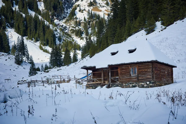 Paisaje de montaña en invierno — Foto de Stock