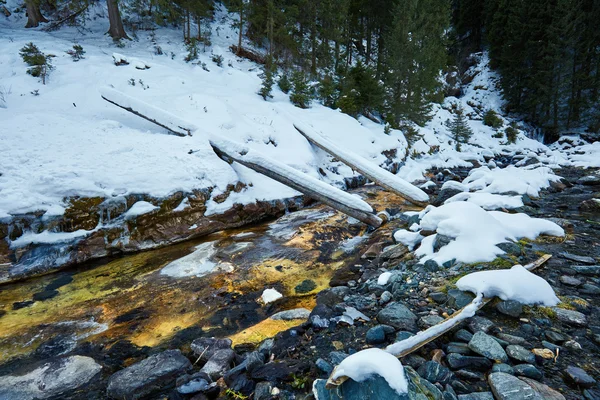 Rio de montanha no inverno — Fotografia de Stock