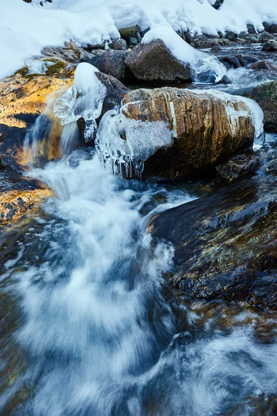 Fryst berg flod — Stockfoto