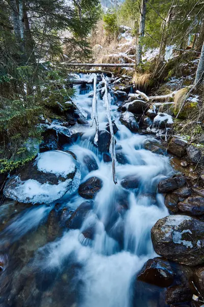 Frozen creek in winter — Stock Photo, Image