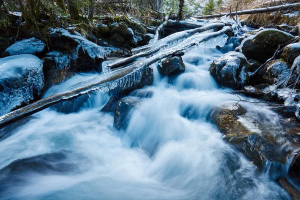 Kışın donmuş creek — Stok fotoğraf