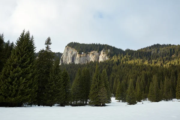 Mountain landscape on wintertime — Stock Photo, Image