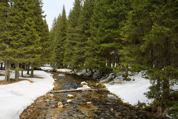 Montaña invierno paisaje —  Fotos de Stock