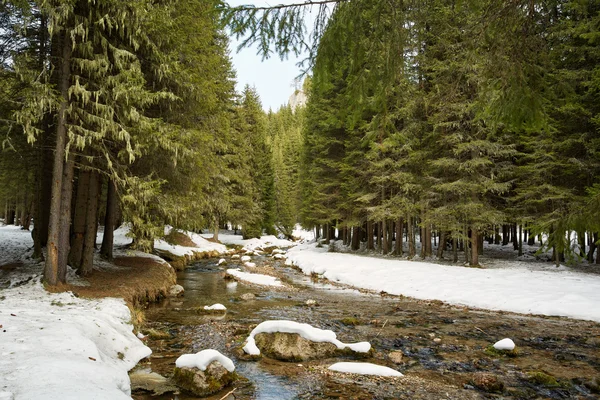 Montagna paesaggio invernale — Foto Stock