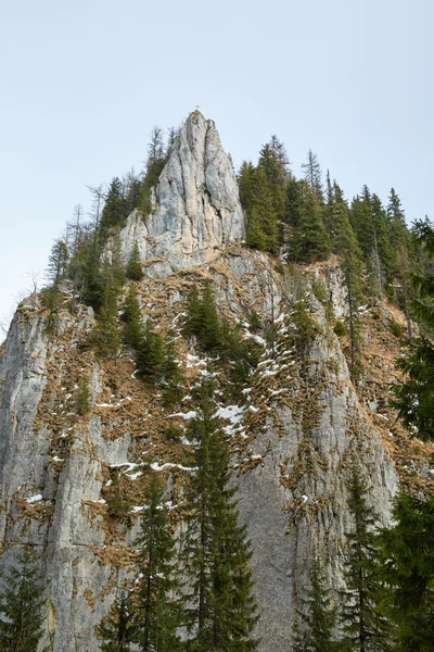 Mountain landscape on wintertime — Stock Photo, Image