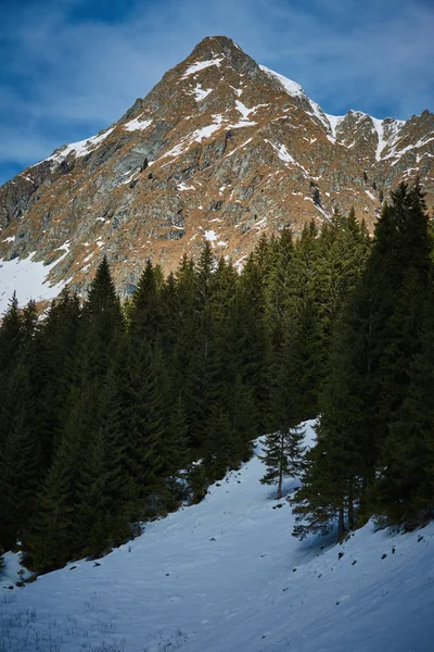 Високий гірський пейзаж взимку Стокове Фото