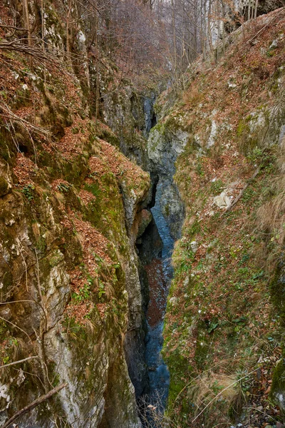 Gorge en een rivier in de bergen — Stockfoto