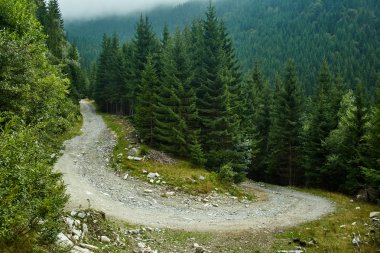 Dağlarda bir yolu olan manzara