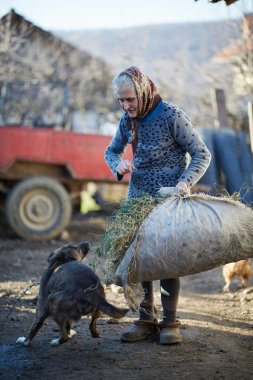 Kadın köpekle oynuyor.