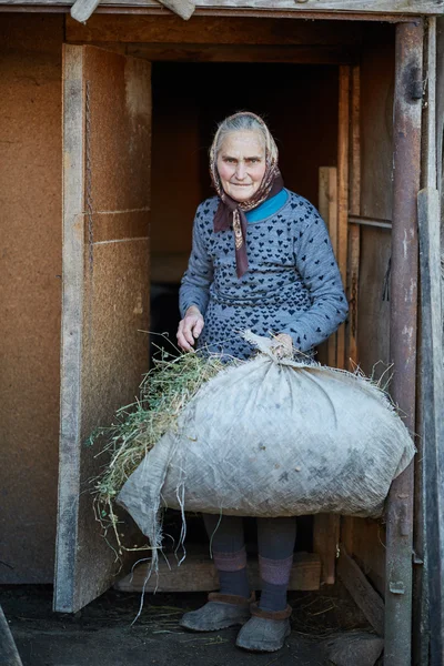 Senior woman with pile of hay — Stock Photo, Image