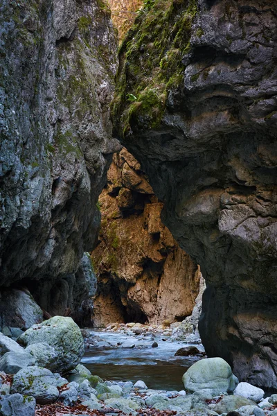 Rio que flui através do desfiladeiro da montanha — Fotografia de Stock