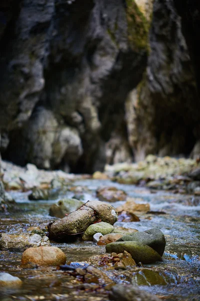 Dağ vadiden akan nehir — Stok fotoğraf