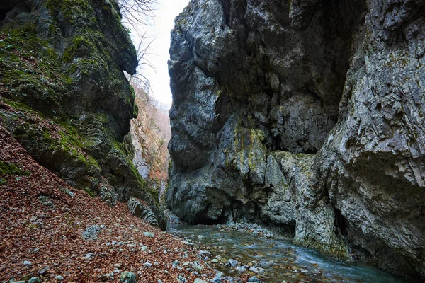 Rivière qui coule dans le canyon de montagne — Photo