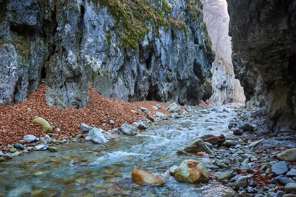 River flowing through mountain canyon — Stock Photo, Image