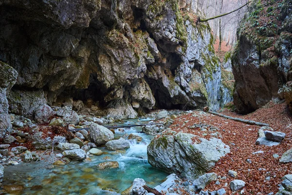 Fluss fließt durch Gebirgsschlucht — Stockfoto