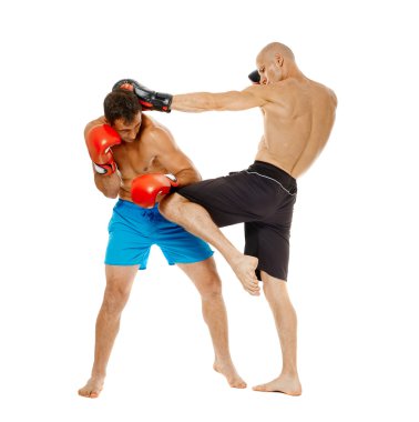 Kickbox savaşçıları fikir tartışması