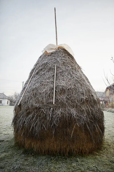 Één grote hooiberg bedekt met vorst — Stockfoto