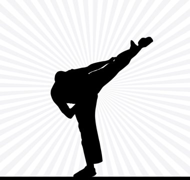 Karate esnaf spor