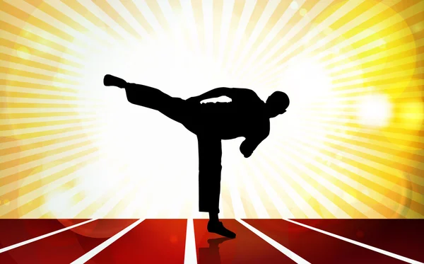 Sport Karate illustartion — Stock Fotó