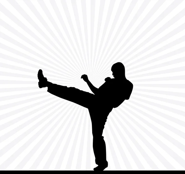 Sport Karate illustartion — Stock Photo, Image