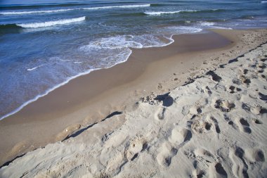 Boş kumlu plaj sahil