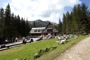 Polonya milli park orman ile insanlara