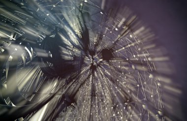 3D render, arka plan tasarımı 