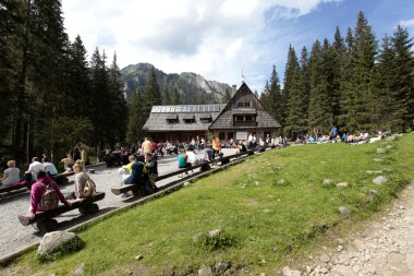 Polonya milli park orman ile insanlara